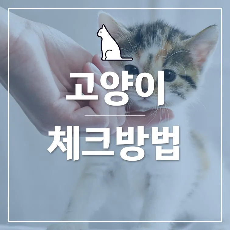 "집에서