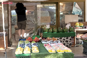 설 연휴 민생 지원금