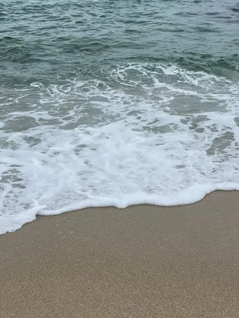 강릉 파도 예측 해안 산책 포토 스폿 안전 거리두기_12