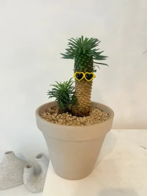 "괴마옥