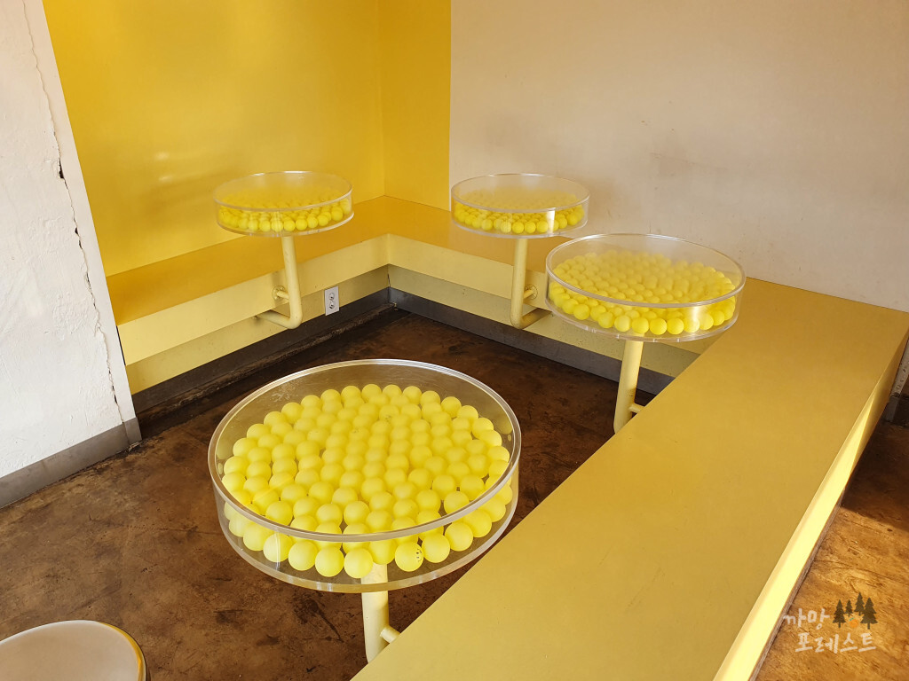 제주 카페 노티드 내부 인테리어