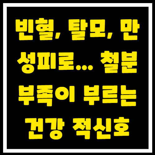 빈혈, 탈모, 만성피로... 철분 부족이 부르는 건강 적신호 완벽 해결 가이드