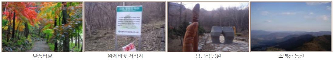 월악산 등산코스