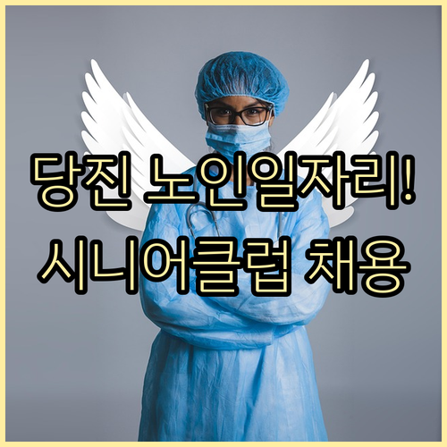 당진 지역 노인일자리 신청 및 시니어..