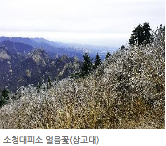 설악산 국립공원 단풍