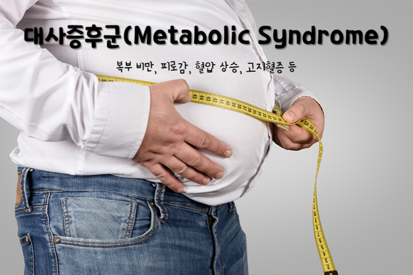대사증후군(Metabolic Syndrome)
대사증후군 주요 증상 : 복부 비만, 피로감, 혈압 상승, 고지혈증 등