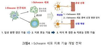 신경세포 치료