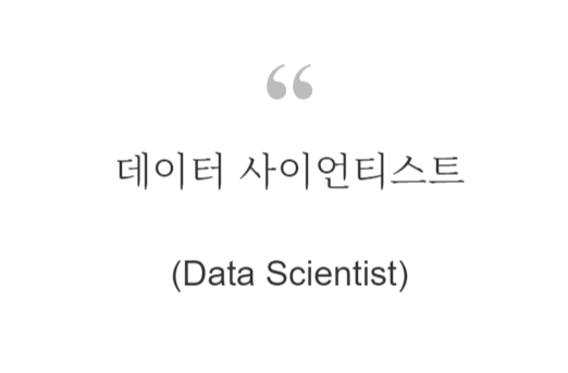 데이터 사이언티스트