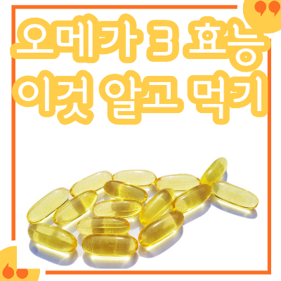 오메가 3 효능 이것만 알고 먹자!