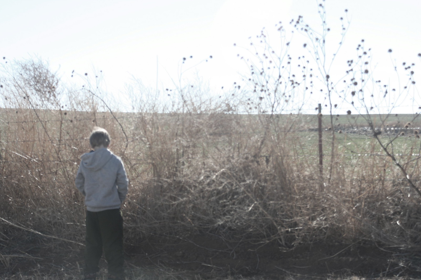 남자 방광염 증상 원인 치료법