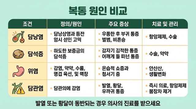 담낭염 담석 위염 담관염 비교 통증 열 황달 검사