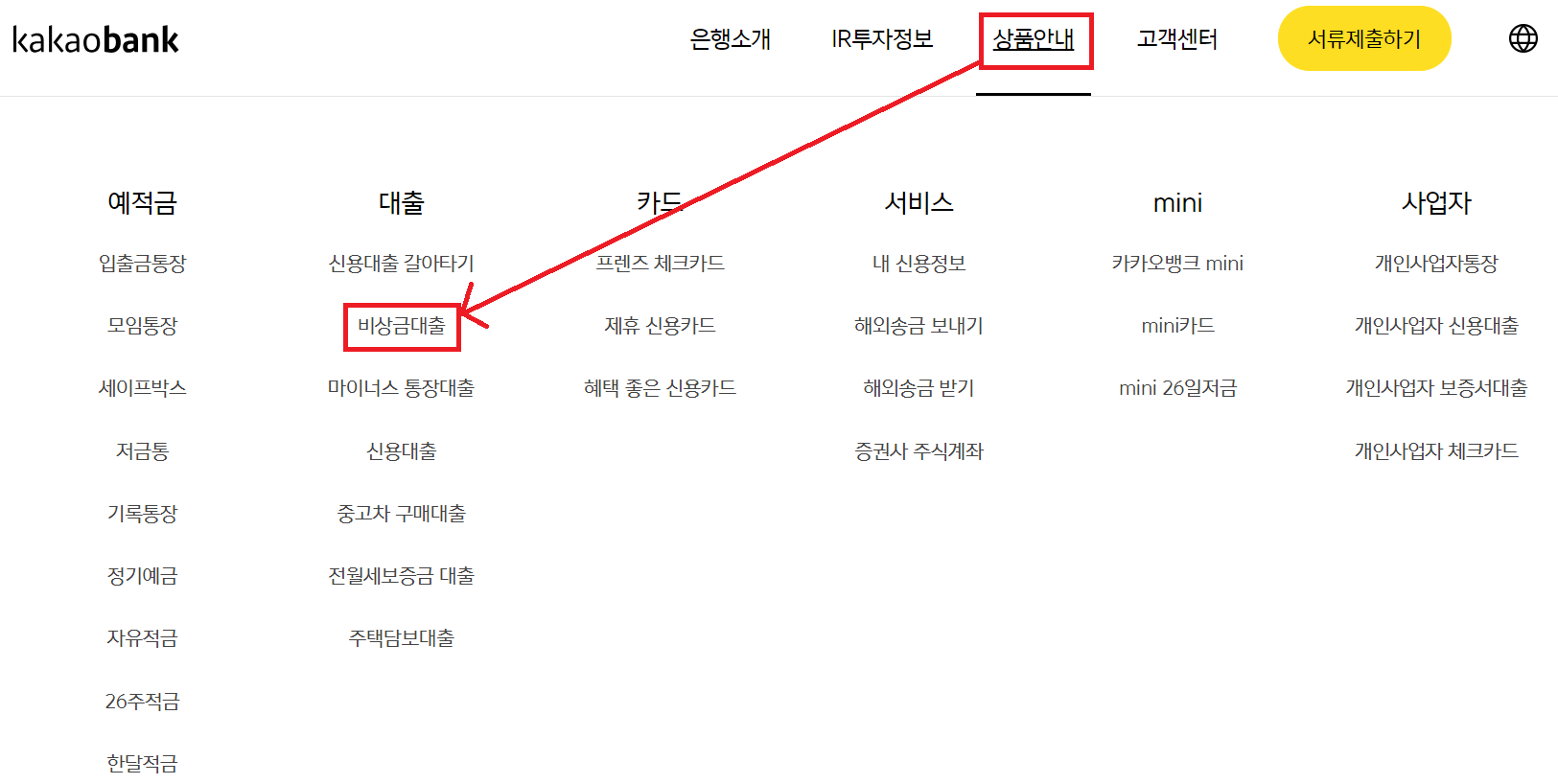 카카오뱅크 비상금대출