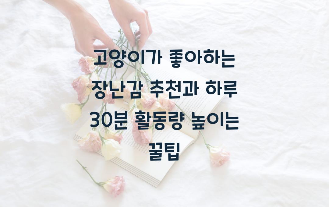 고양이가 좋아하는 장난감 추천, 활동량 높이는 꿀팁