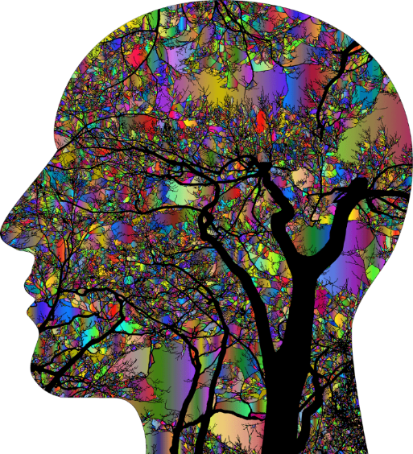 회복은 망각에서 시작되는가, 아니면 기억의 재구성에서 오는가?