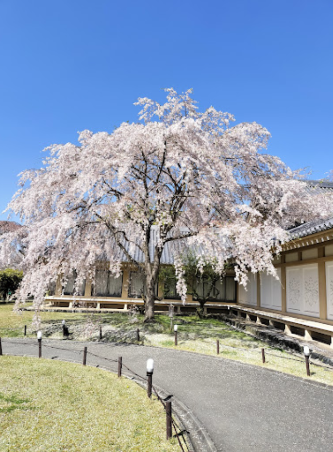 오사카 자유여행 추천 : 오사카 여행 추천 코스