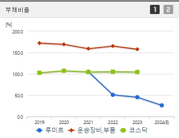 루미르 주가 부채비율
