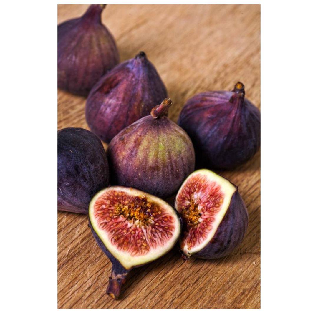 무화과와 관련된 사진입니다.