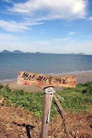 여름에 걷기 좋은 숲길 10