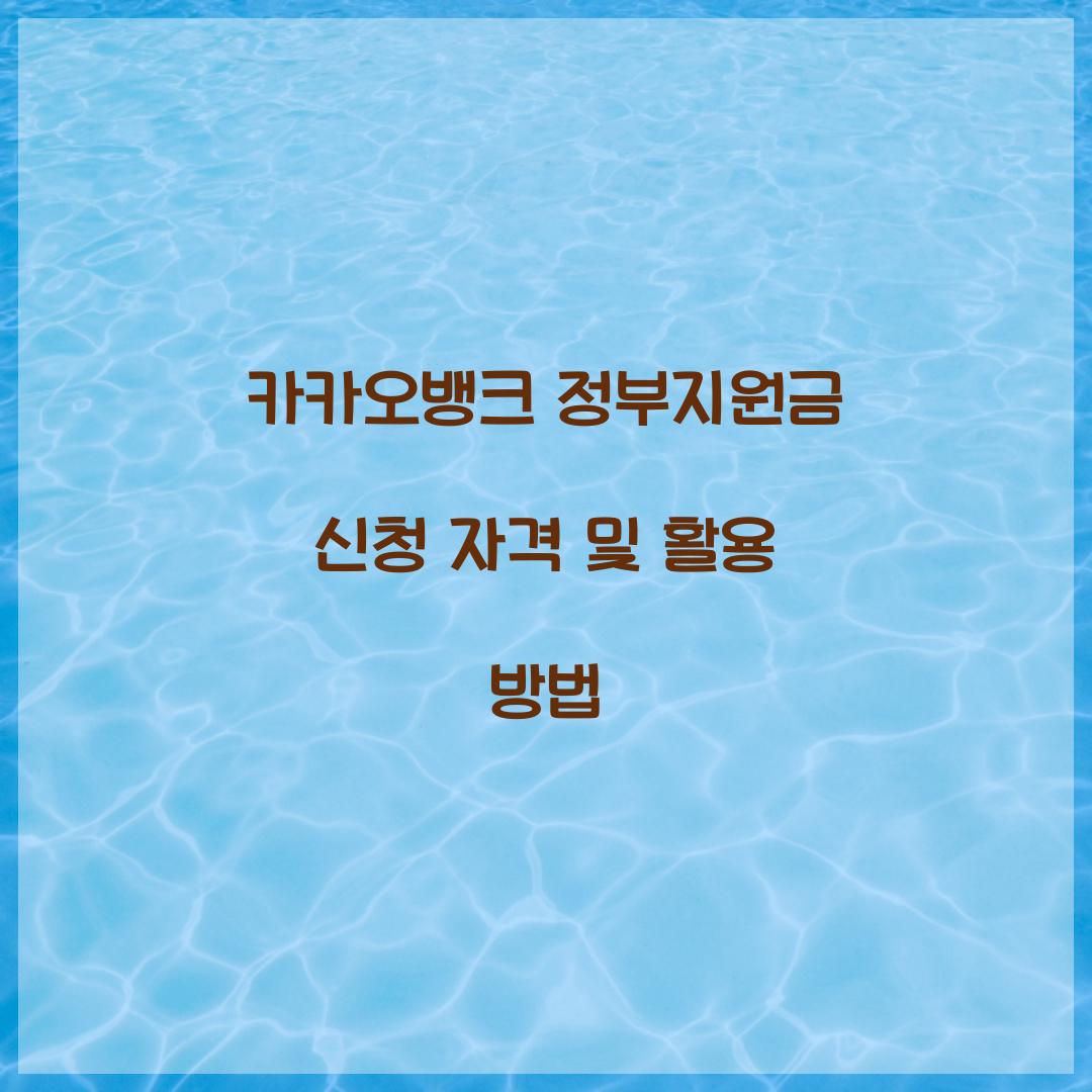 카카오뱅크 정부지원금