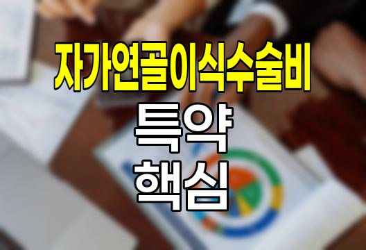 메리츠화재 자가연골이식수술비 특약 핵심 정보