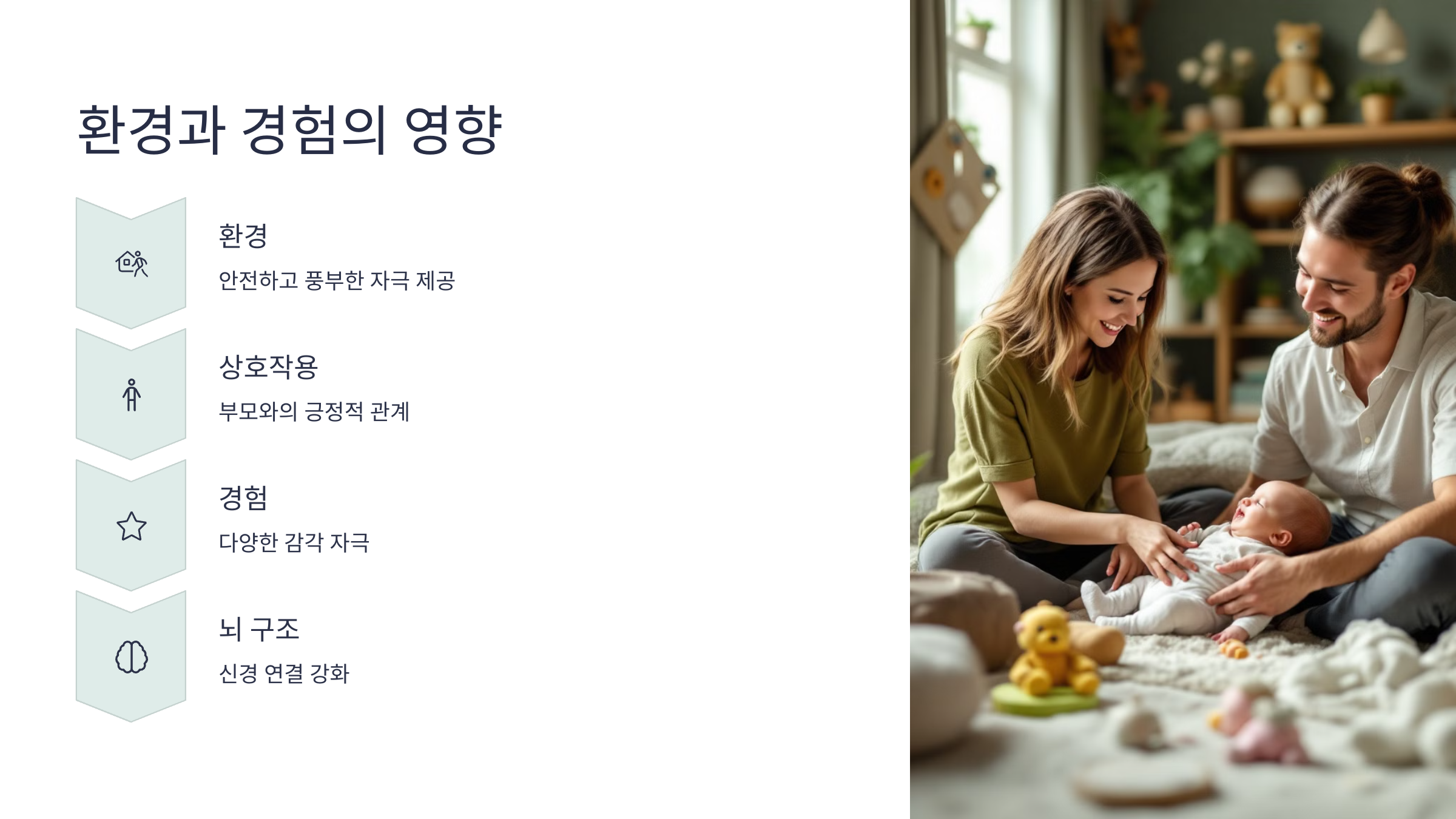 환경과 경험의 영향