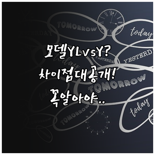 모델 YL과 일반 모델 Y 차이점 완..