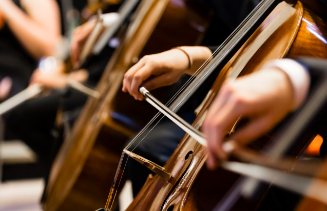 첼로 연주하는 사진