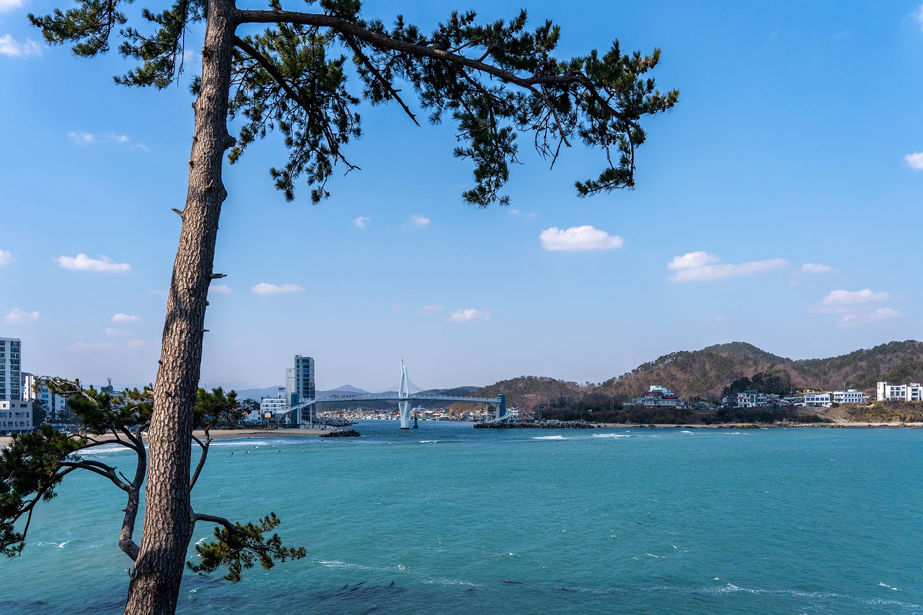 명선도 주변 전망