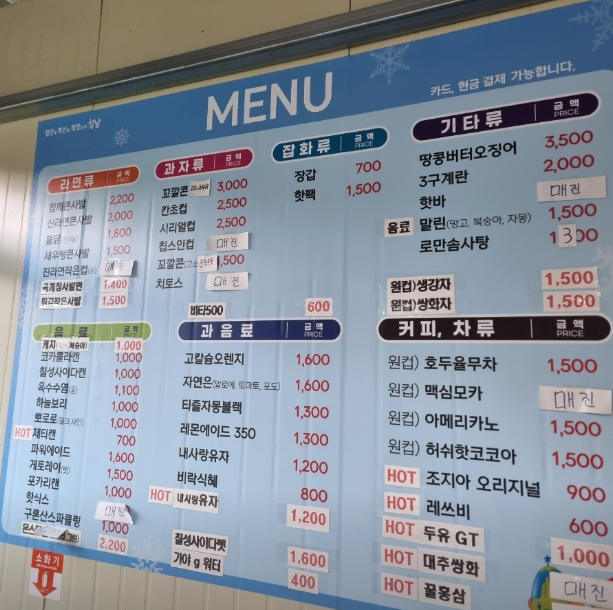 성남시 야외스케이트장3