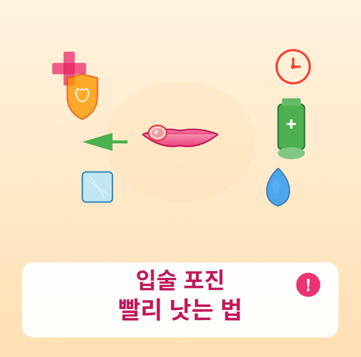 입술 포진 빨리낫는법