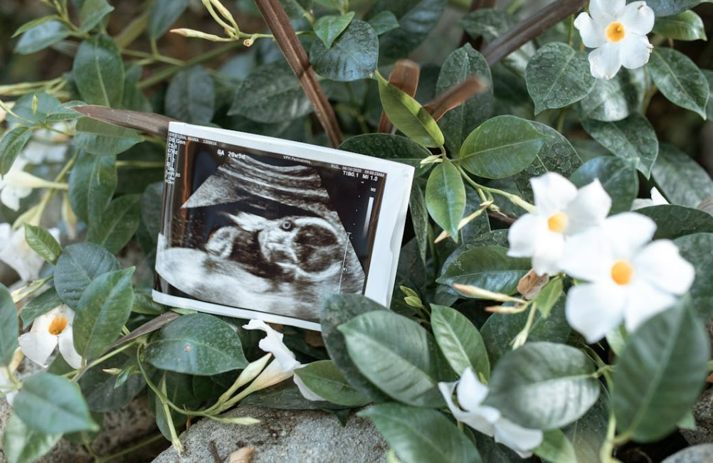 2025 출산지원금 신청 방법 총정리 – 지역별 혜택까지 한눈에!