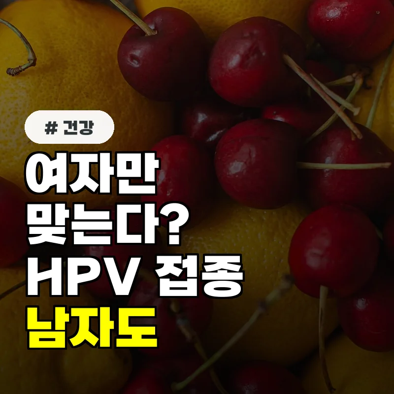 여자만 맞는다 HPV 예방접종, 남자도 꼭 맞는 놀라운 이유 3가지
