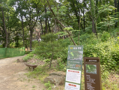 남양주 사릉 숲길