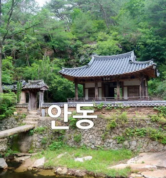 안동 맛집 베스트10 방송 출연 블루리본 맛집_6