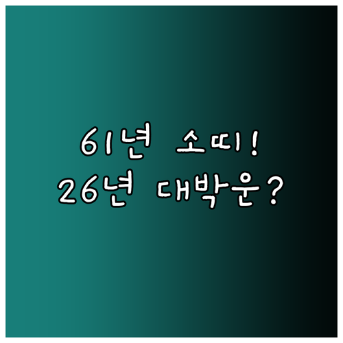 1961년생 소띠 2026년 병오년 ..