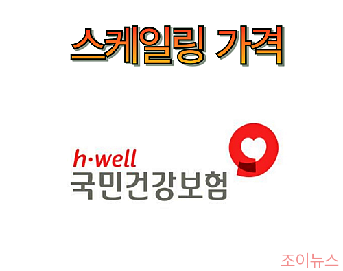 스케일링 가격_의료보험/비급여가격