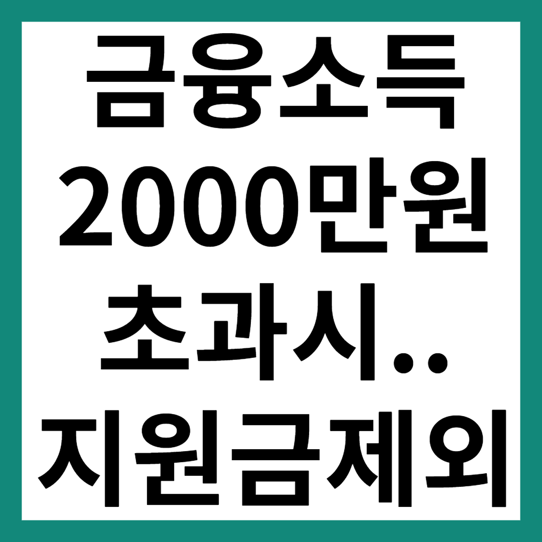 금융소득 2000만원 초과
