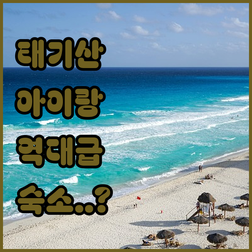 횡성 둔내면 태기산 인근 아이와 가기..