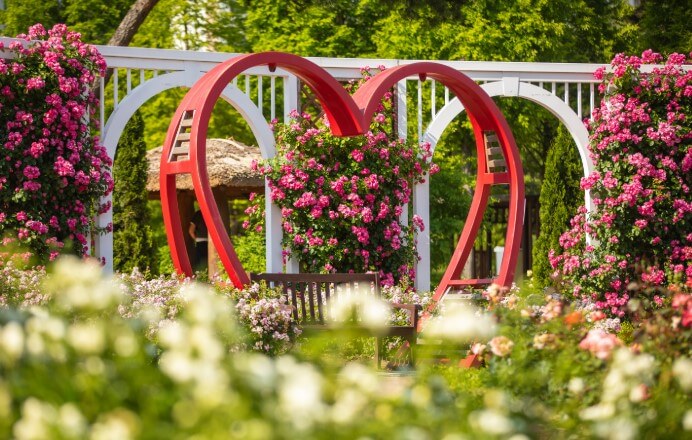 오산 장미 축제 일정