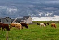 농민수당 신청 자격 및 신청 방법