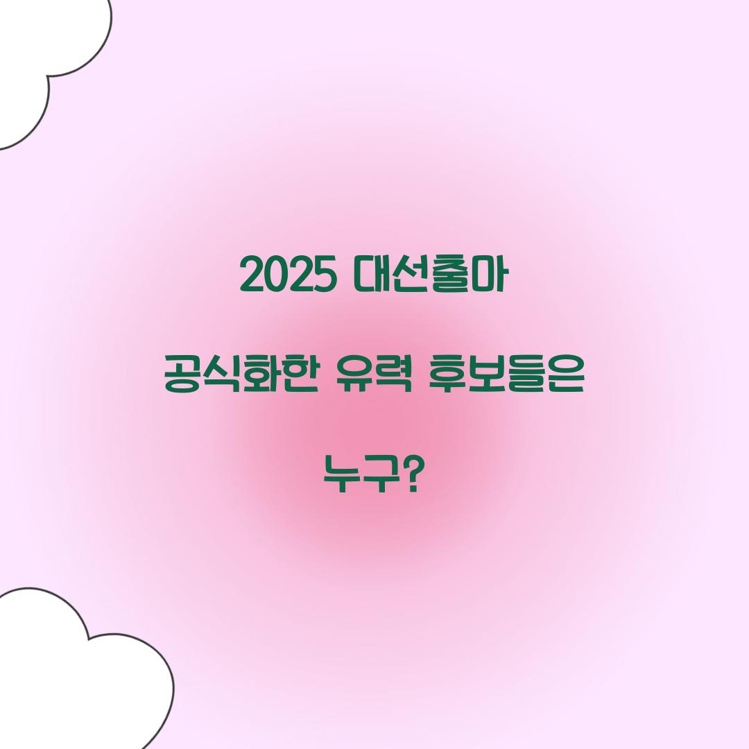 2025 대선출마