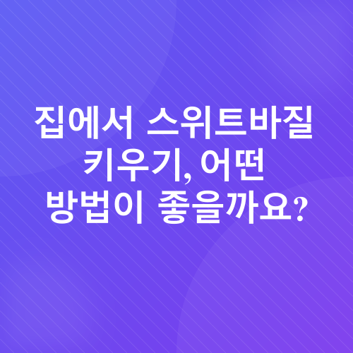 스위트바질 키우기_1