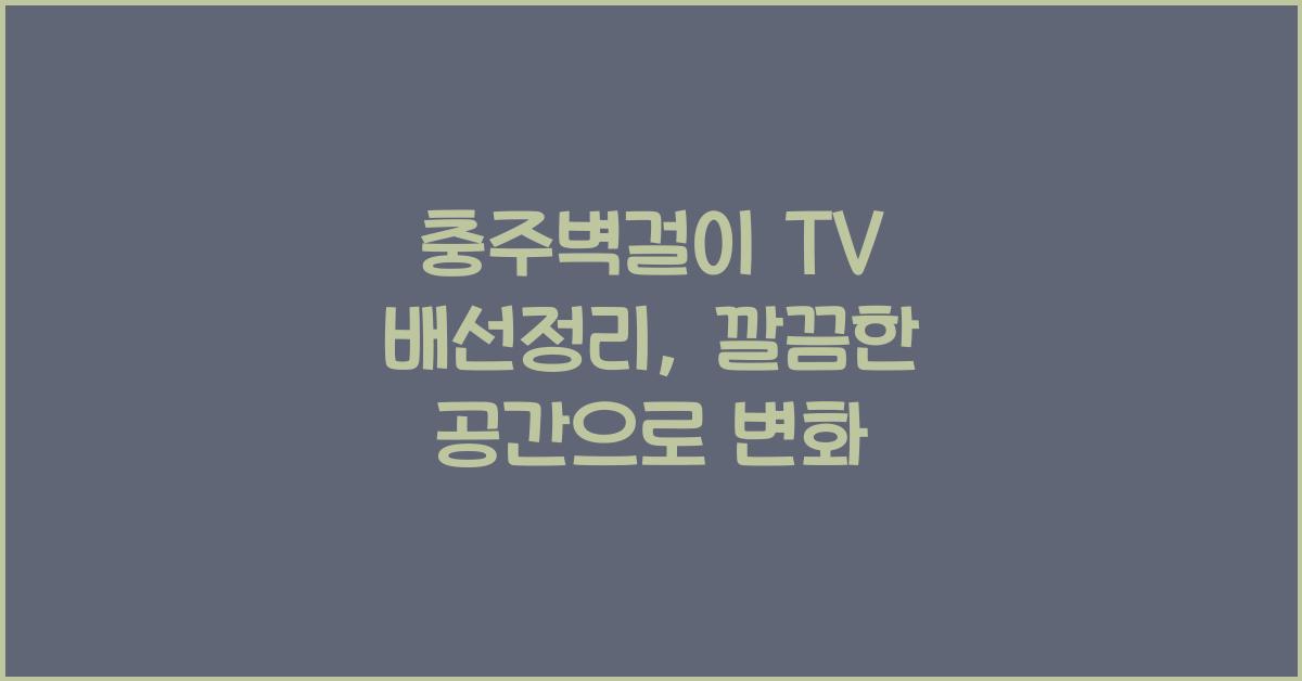 벽걸이 TV 배선정리