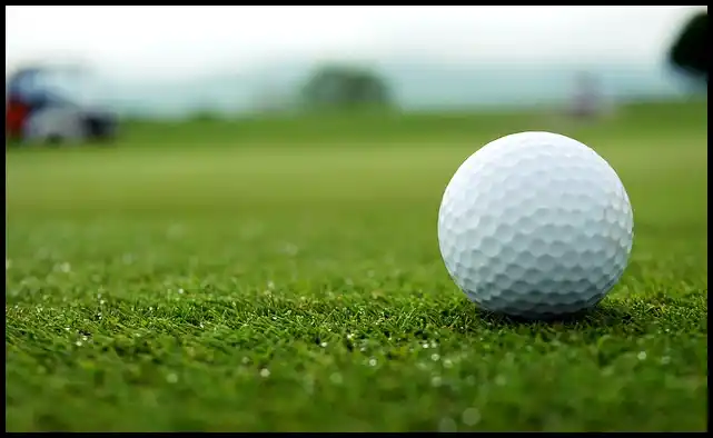 파크골프 용어 정리 (+ 해설 )