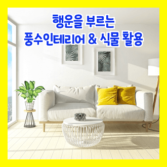 행운을 부르는 풍수 인테리어 및 풍수에 좋은 식물