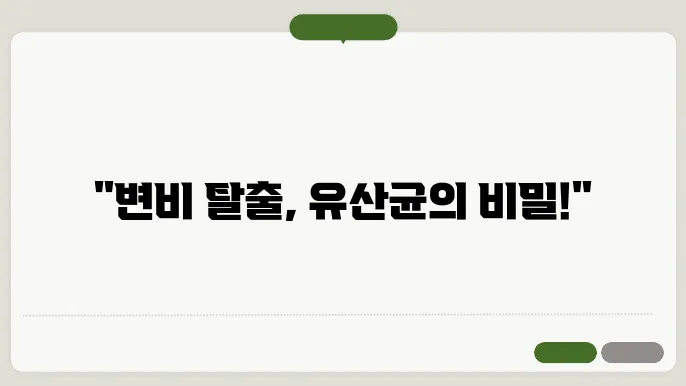변비 예방을 위한 유산균과 관리 tips
