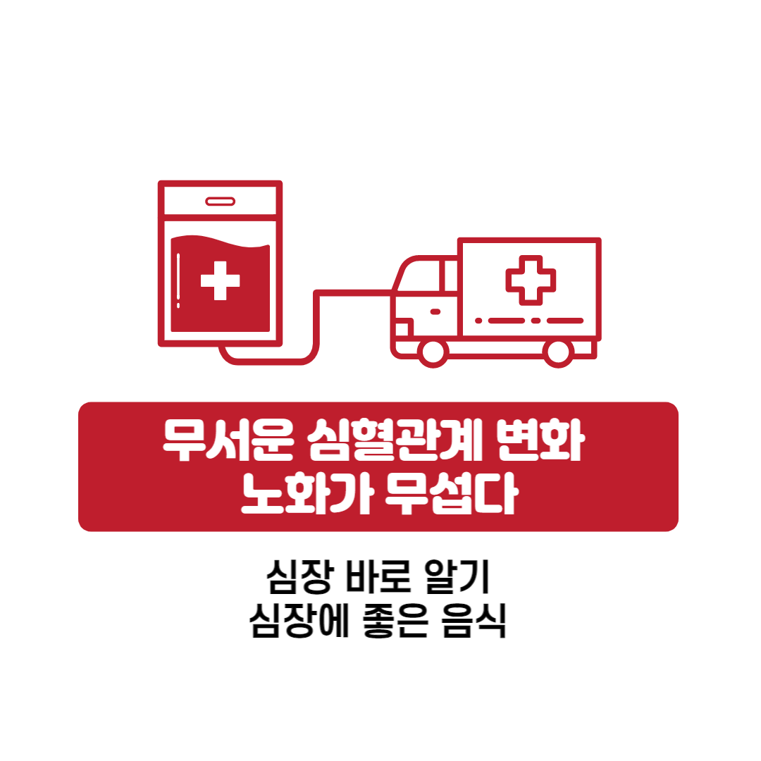 노화로 인한 심혈관계의 변화와 심장에 영향을 주는 노화에 대해 알아보겠습니다.