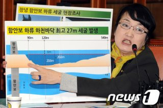 김진애 국회의원 정치 경력