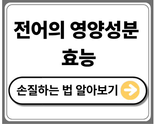 전어의 영양성분 효능