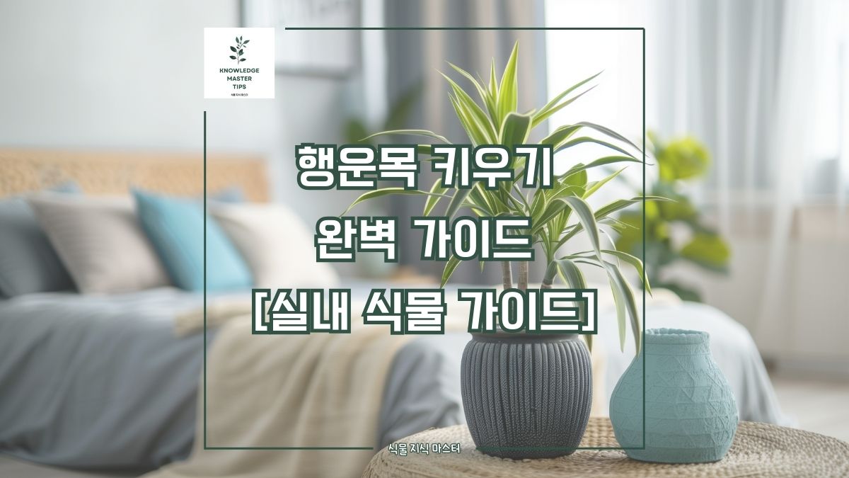 행운목 키우기, 완벽 가이드 [실내 식물 가이드]